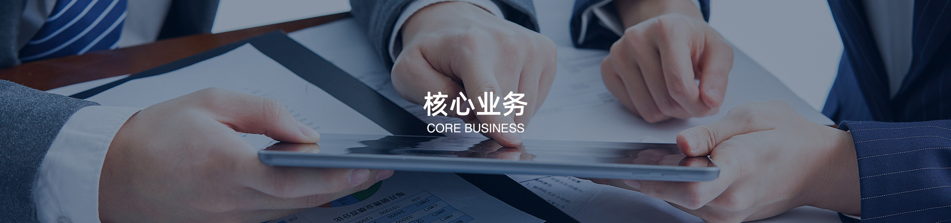 核心業(yè)務(wù)